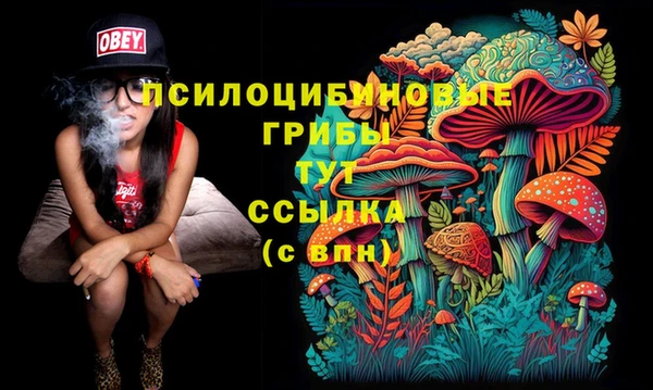 прущая мука Гусев
