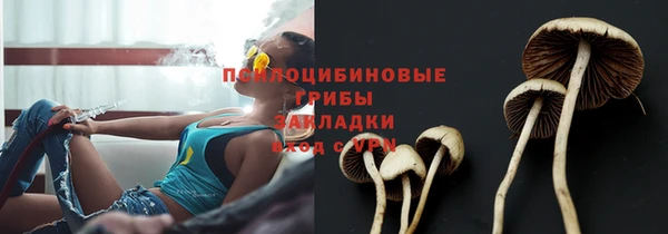 ECSTASY Гусиноозёрск