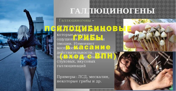 прущая мука Гусев