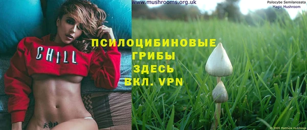 jwh Гусь-Хрустальный