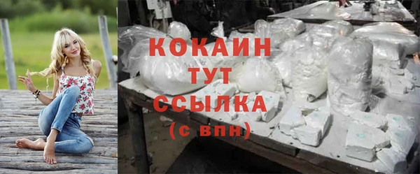 jwh Гусь-Хрустальный