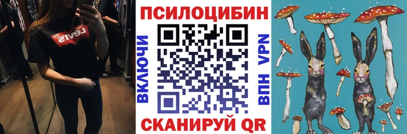 Купить закладки  Изобильный  Псилоцибиновые грибы Psilocybine cubensis 
